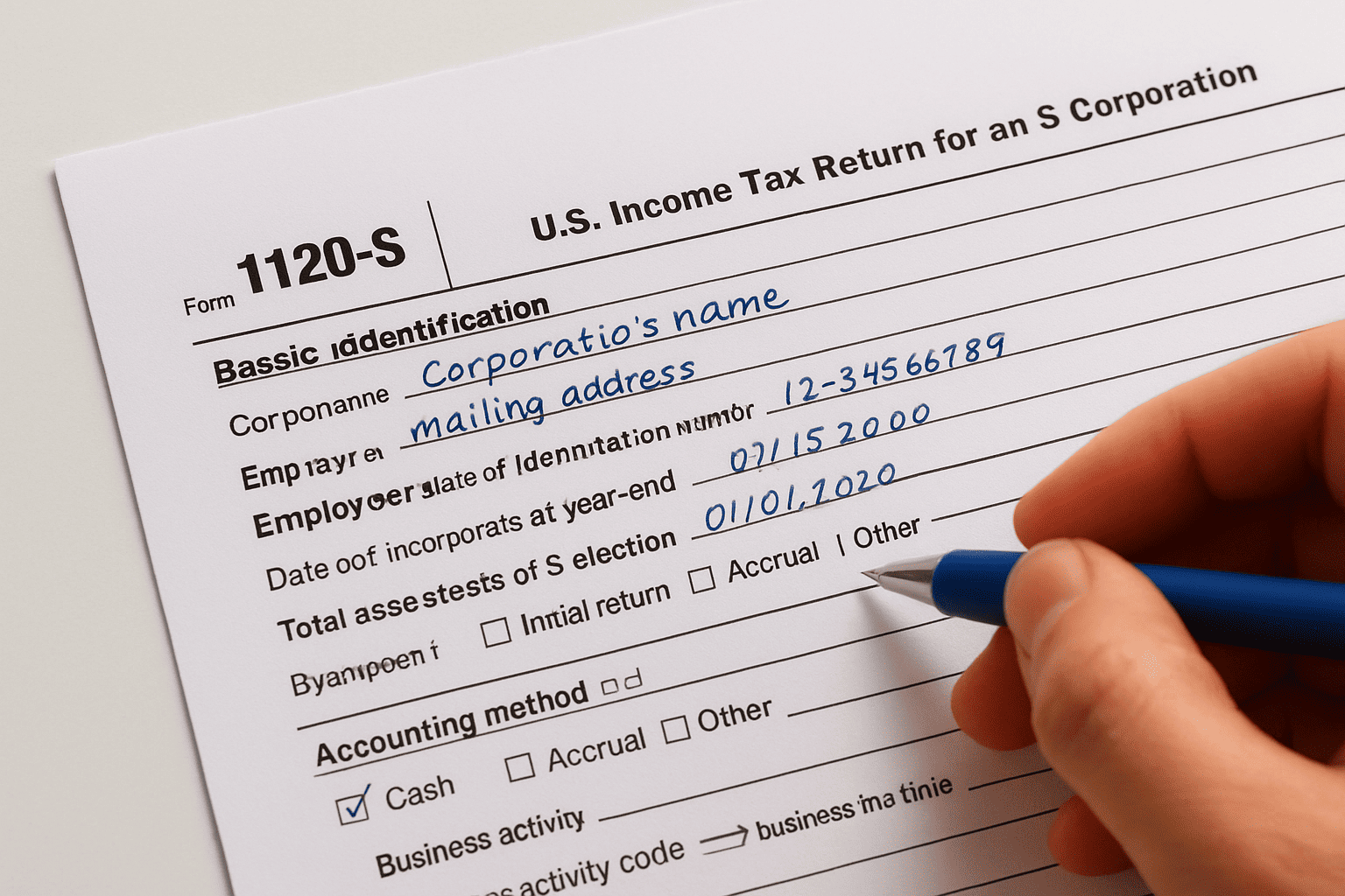 Basic identification fields