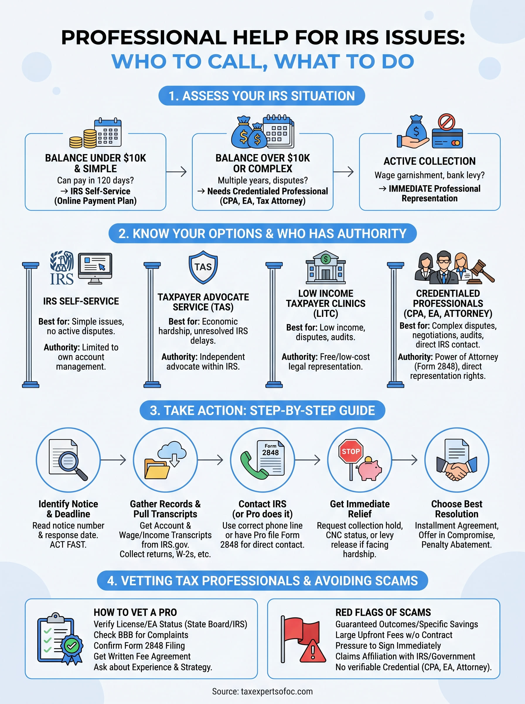 professional help for irs issues infographic