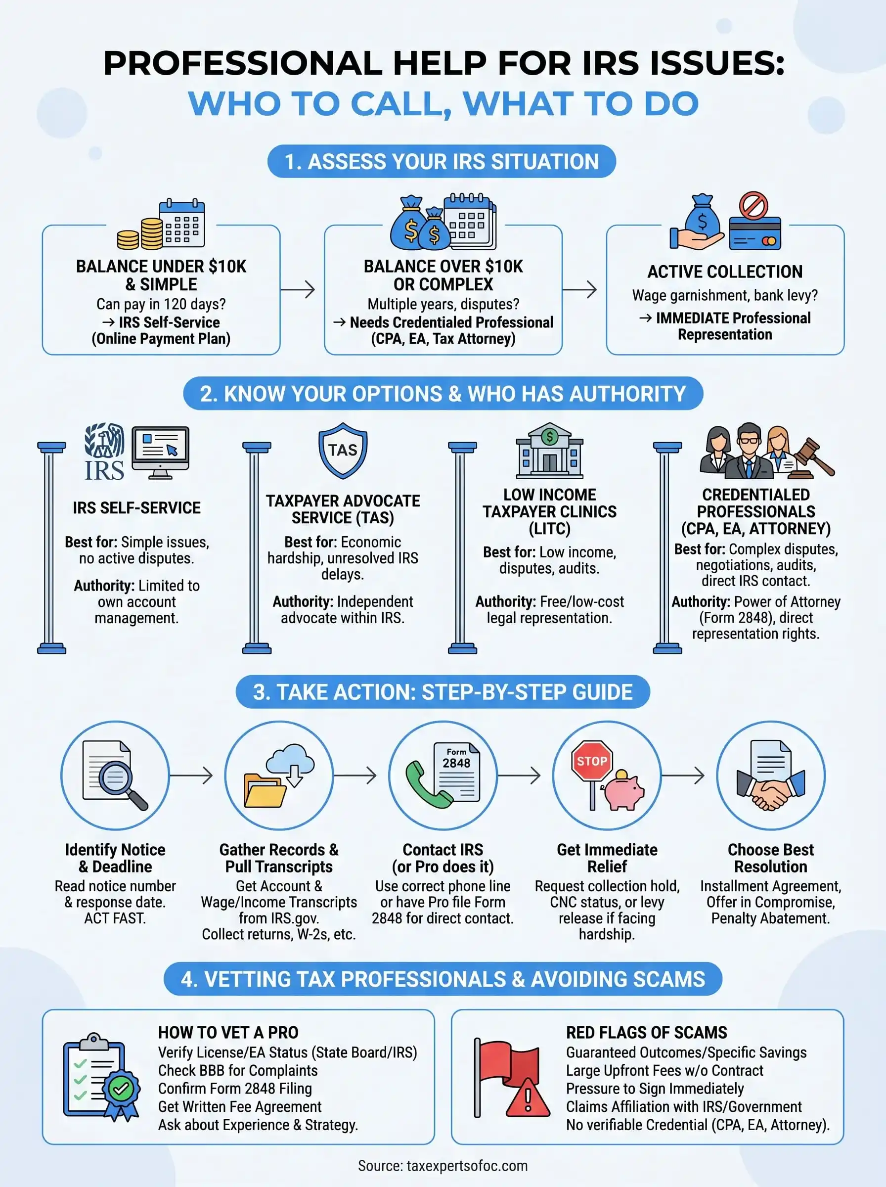 professional help for irs issues infographic